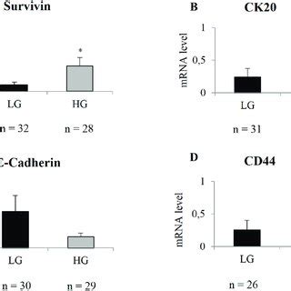 Differential Gene Expression Analysis Between HG And LG Tumors