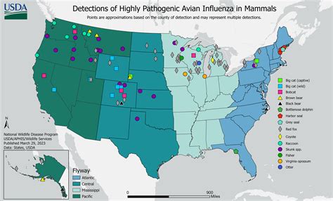 USDA Tracking Bird Flu Spillover Events in Mammals – KCVMA