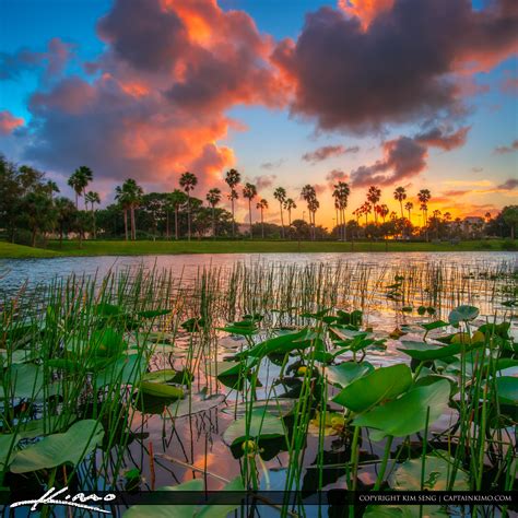 Sunset At Lake Palm Beach Gardens HDR Photography By Captain Kimo