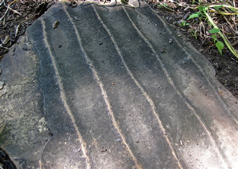 Symmetrical Ripple Marks Berea Sandstone Upper Devonian Flickr