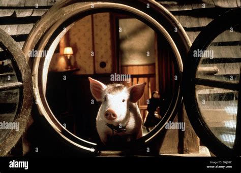 BABE PIG IN THE CITY Stock Photo Alamy
