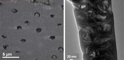 Figure From Focused Ion Beams Fib Novel Methodologies And Recent