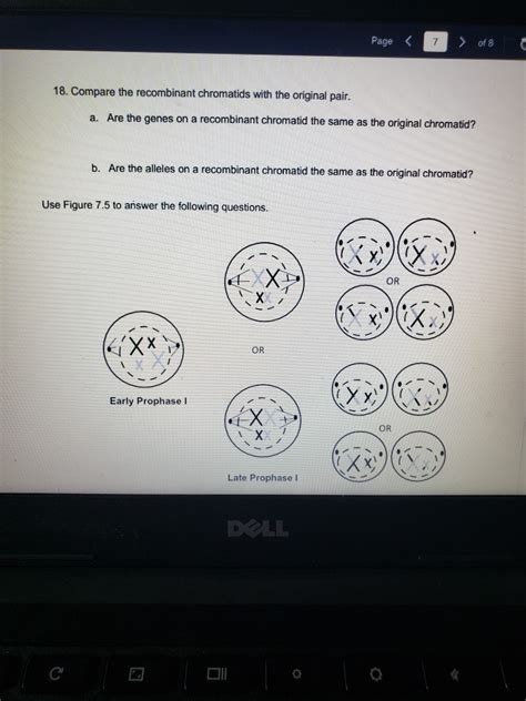 Solved Use Figure 7.1 to find cells from each stage of the | Chegg.com 