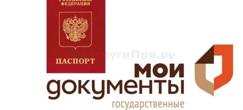 Замена паспорта в МФЦ – пошаговая инструкция