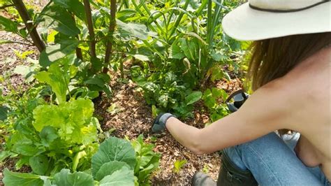 The Naked Gardener The Naked Gardener Thenakedgardener Official Nude OnlyFans The