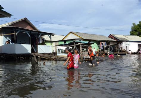 Banjir Rob Di Pesisir Bandar Lampung Antara Foto