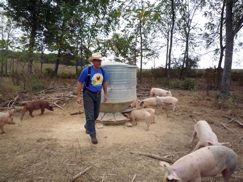 A Note From Joel Salatin Cornucopia Institute