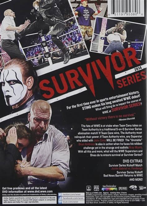 Wwe Sting Survivor Series