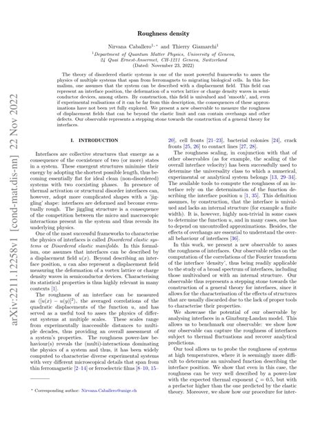 (PDF) Roughness density 