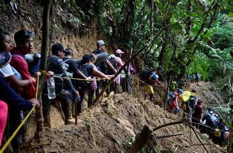 Panamá Prevé Nuevo Récord De Migrantes Por El Darién