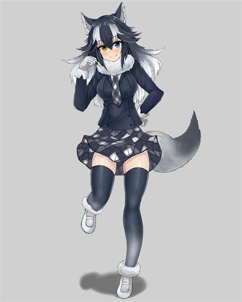 Grey Wolf Kemono Friends Anime Wolf Girl Anime Girl Neko Anime Art