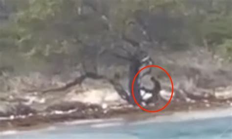 Man And Woman Caught On Camera Having Sex On A Beach In Jamaica Watch