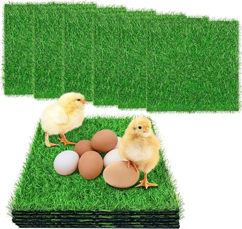 Amazon 6pcs Chicken Nesting PadsArtificial Thicken Grass Nesting