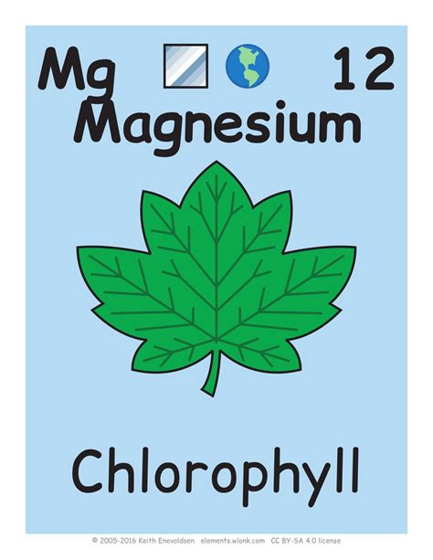 12 Magnesium Chemical Element Flashcard Free Printable Papercraft Templates