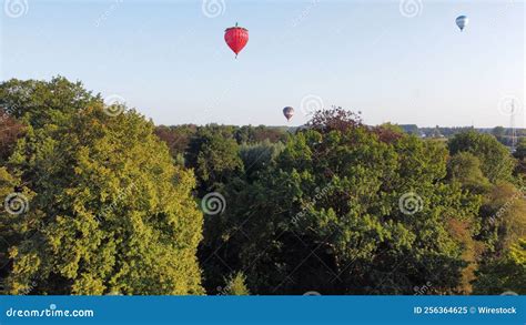 Group Of Colorful Hot Air Balloons Flying Over Green Lush Trees Stock