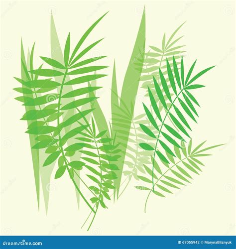 Green Fern Leaves And Branches Stock Vector Illustration Of Nature