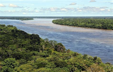 Amazon Deforestation Surges As Bolsonaro Weakens Environmental