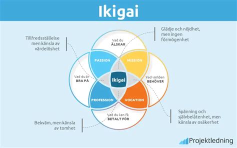 Ikigai Den Japanska Hemligheten Till Ett L Ngt Lyckligt Liv Grafik