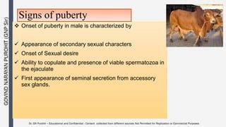 Andrology Lecture Puberty And Sex Maturity Pdf