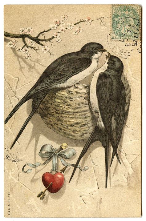 Antique Graphic Pretty Bird Pair With Nest The Graphics Fairy