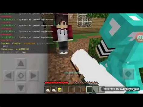 Тигр миша - YouTube