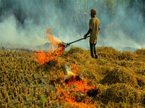 Punjab Govt Stubble Management Action Plan I Report Ngt Asked For