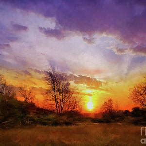 Sunny Trail Photograph By Cedric Hampton Fine Art America