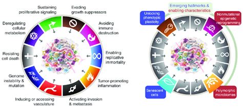 Hallmarks Of Cancer And New Dimensions Ten Hallmarks Of Cancer With 2