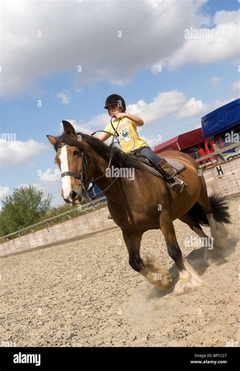 Horse Riding School Hi Res Stock Photography And Images Alamy
