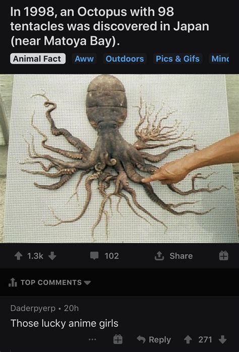 Cursed Hentai R Cursedcomments