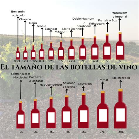 Cuántos tamaños de botellas de vino existen El rumor del vino