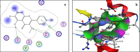 Two Dimensional A And Three Dimensional B Binding Site Interaction