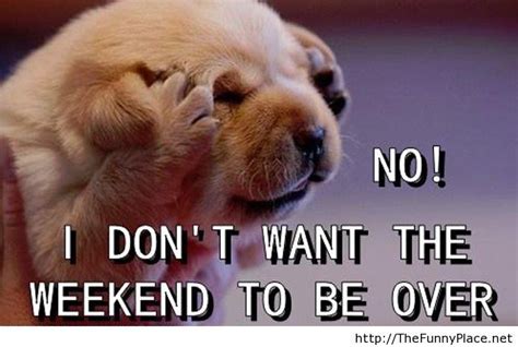 Weekend Over Funny Picture With Saying With Images Weekend Quotes