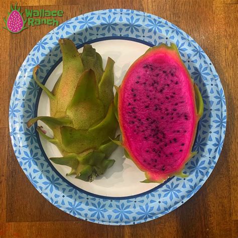 Ax Dragon Fruit Wallace Ranch Dragon Fruit