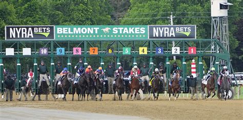 Who Won The Belmont Stakes In 2024 Full Results And Finish Order