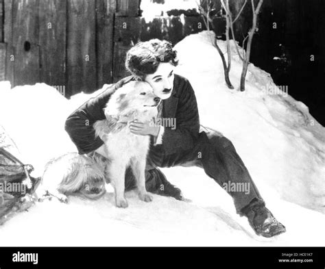 THE GOLD RUSH, Charles Chaplin, (aka, Charlie Chaplin), 1925 Stock ...