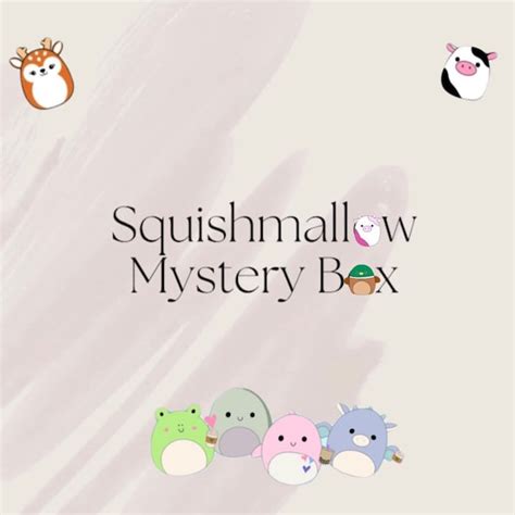 Squishmallow Mystery Box Etsy Australia