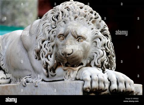 Italian Marble Lion Sculpture Stock Photo Alamy