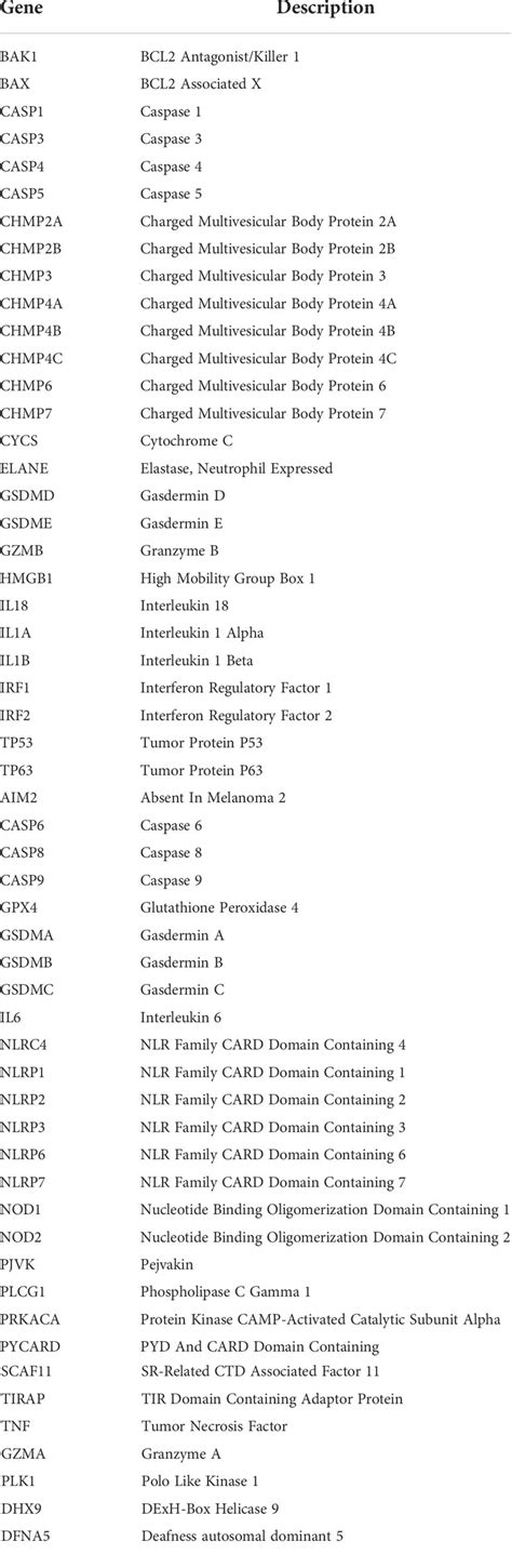 Frontiers A Novel Association Of Pyroptosis Related Gene Signature