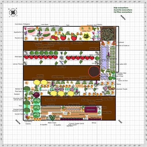 Garden Plan 2017 Comm 20 X 20