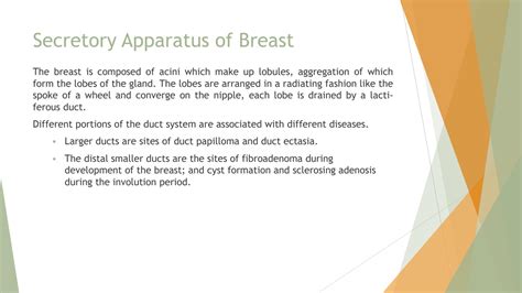 Solution Anatomy And Development Of Breast Studypool