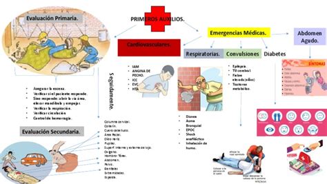 Mapa Mental Primeros Auxilios Pdf Enfermedades Y Trastornos