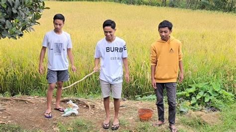 Mancing Dan Cari Cacing Di Kampung Halaman Betrand Peto Pakai Kaos