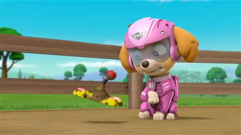 Skye The Cockapoo Paw Patrol Photo 40719575 Fanpop