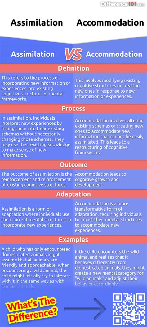 Assimilation Vs Accommodation 5 Key Differences Pros Cons