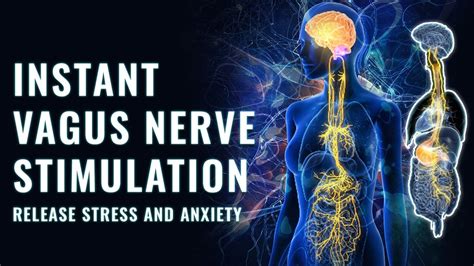 Try 2 Min Vagus Nerve Stimulation Music Heal Parasympathetic Nervous