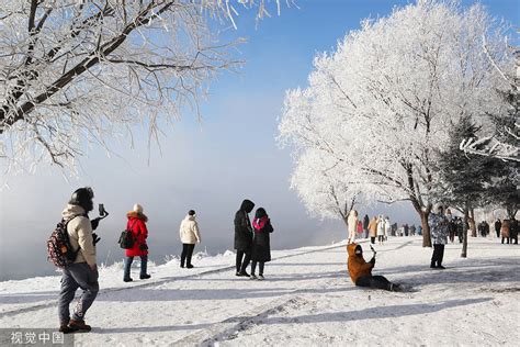 琼花玉树雪白世界 吉林市迎来2023首场大范围雾凇 搜狐大视野 搜狐新闻