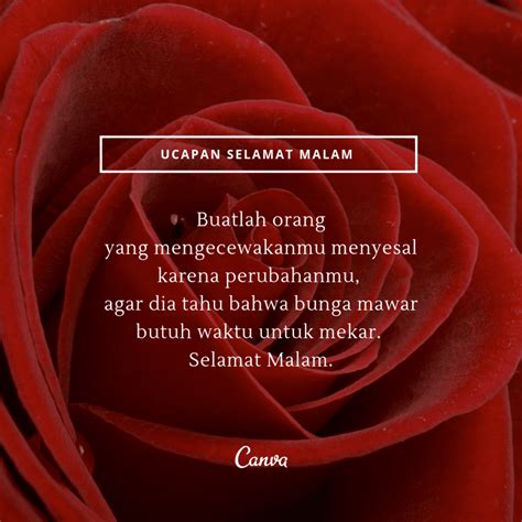 46 Quotes Ucapan Selamat Malam Chika Ciku