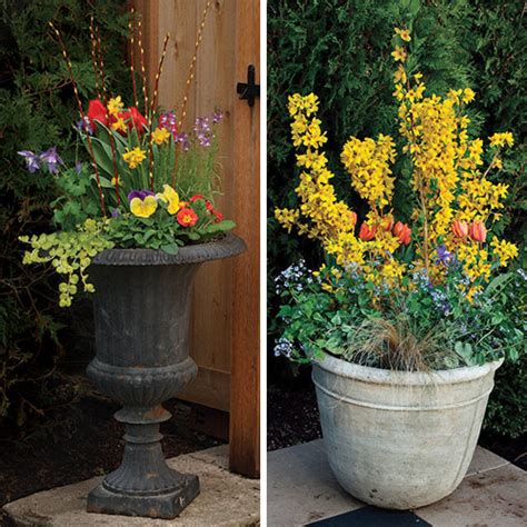 Spring Containers for Every Style - Fine Gardening