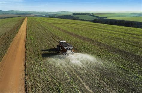 Bioestimulantes Que Reducirán El Uso De Fertilizantes